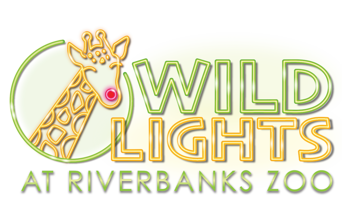 Wild Lights